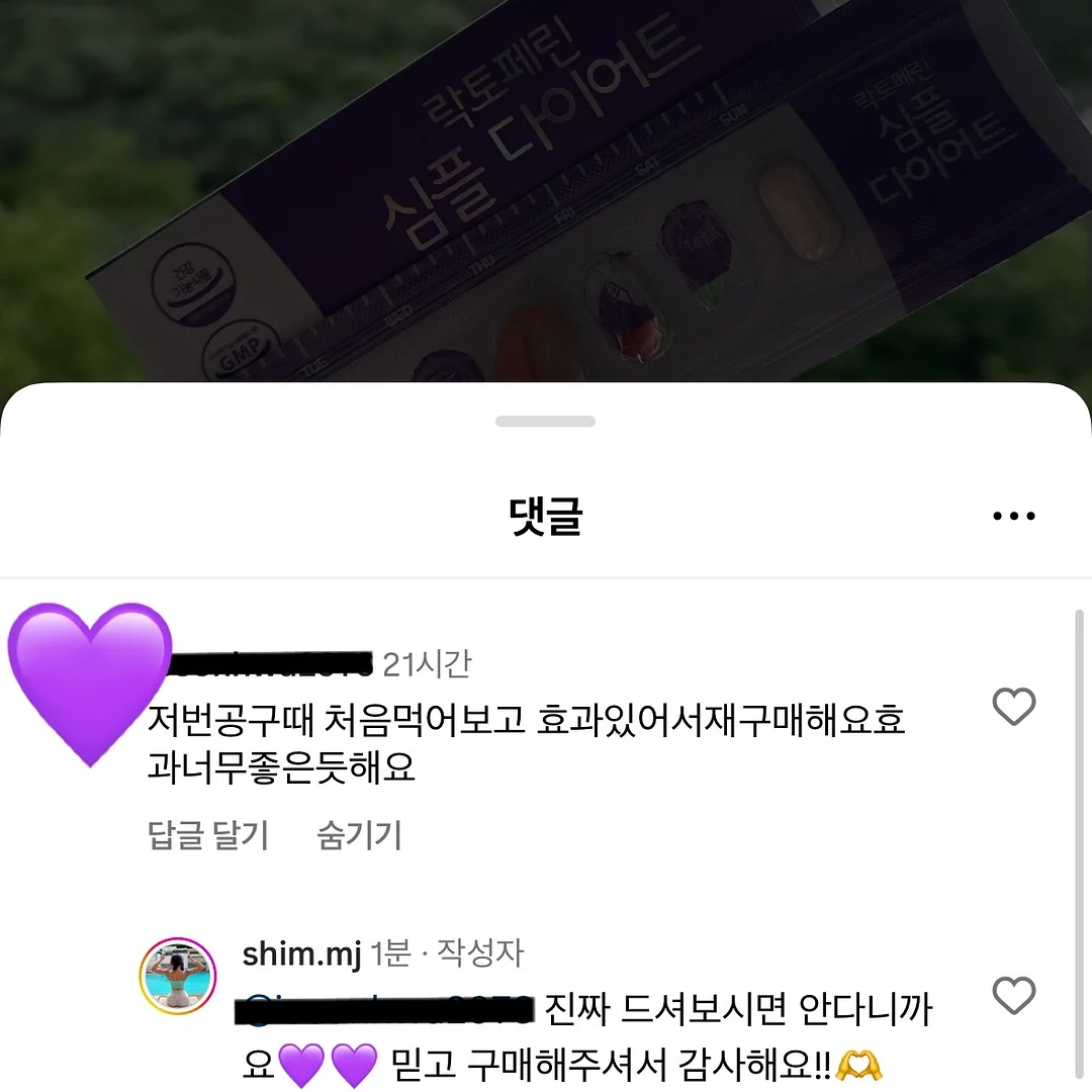 고양이 숨숨집 4