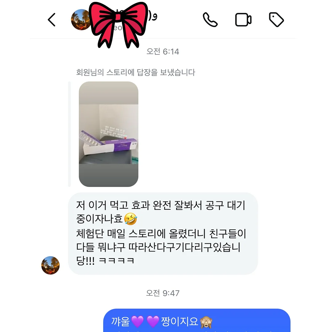 고양이 숨숨집 5