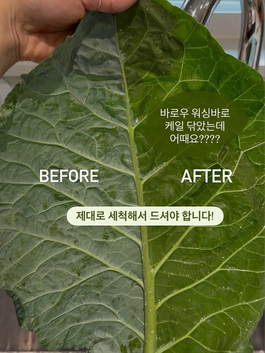 아이스 엿구마 18