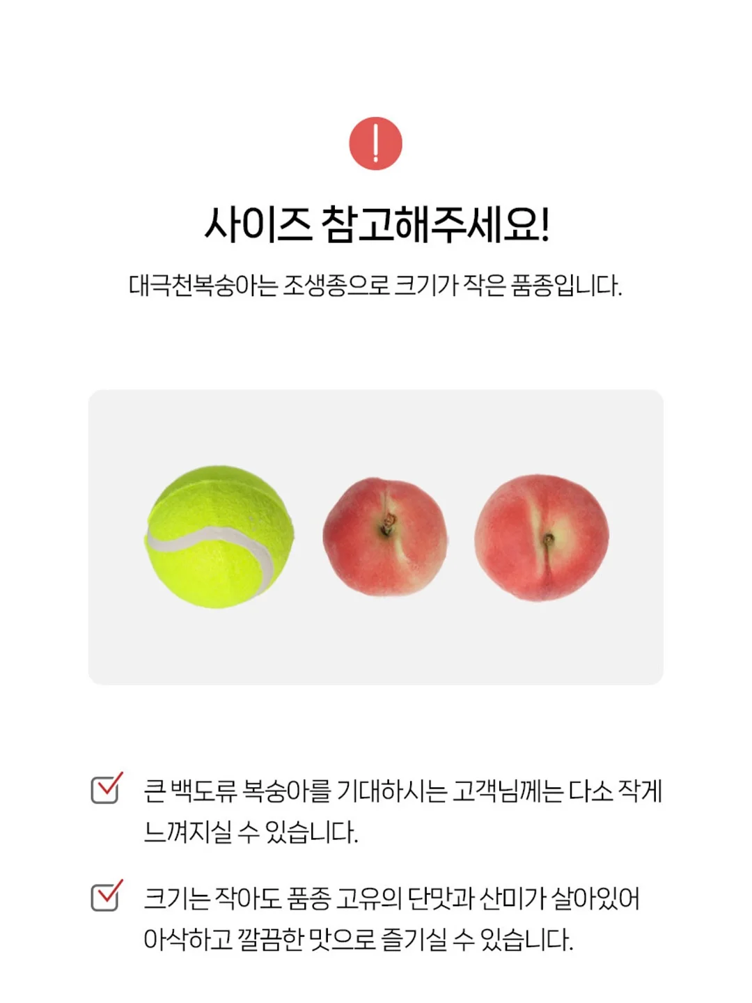 콰티 립베이스 3