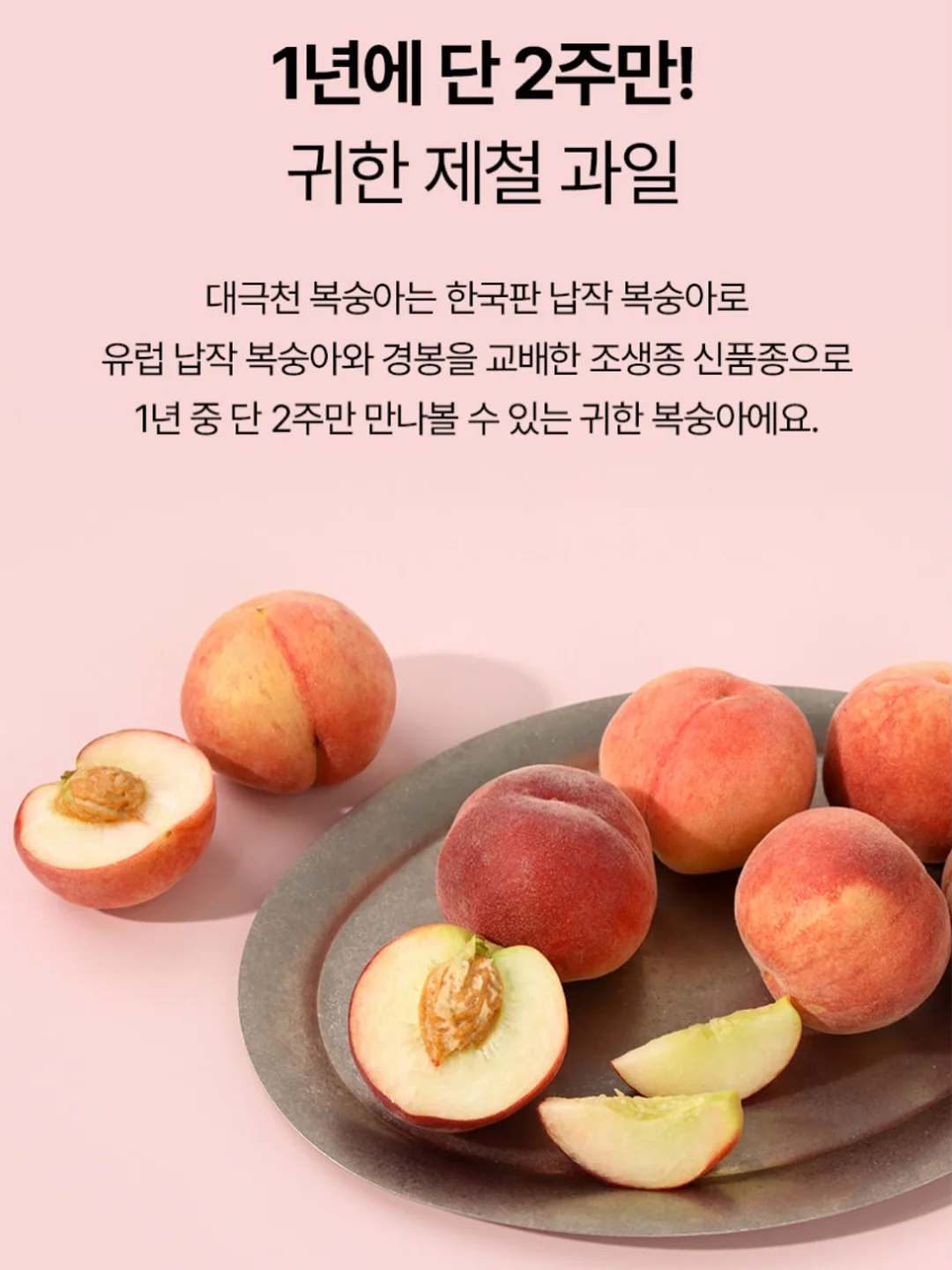 콰티 립베이스 5