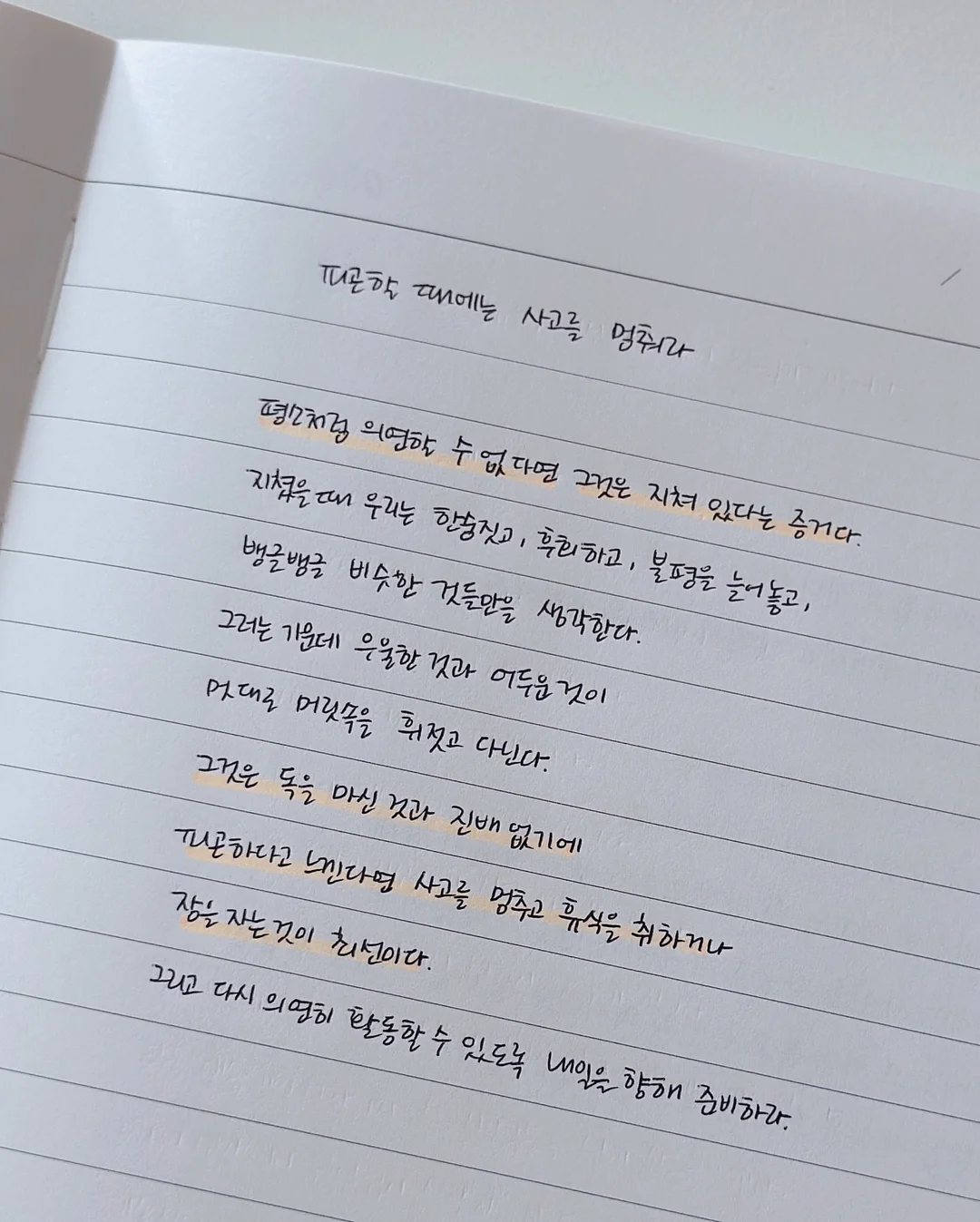 플랜룩스 에그프라이 주방 타이머 4