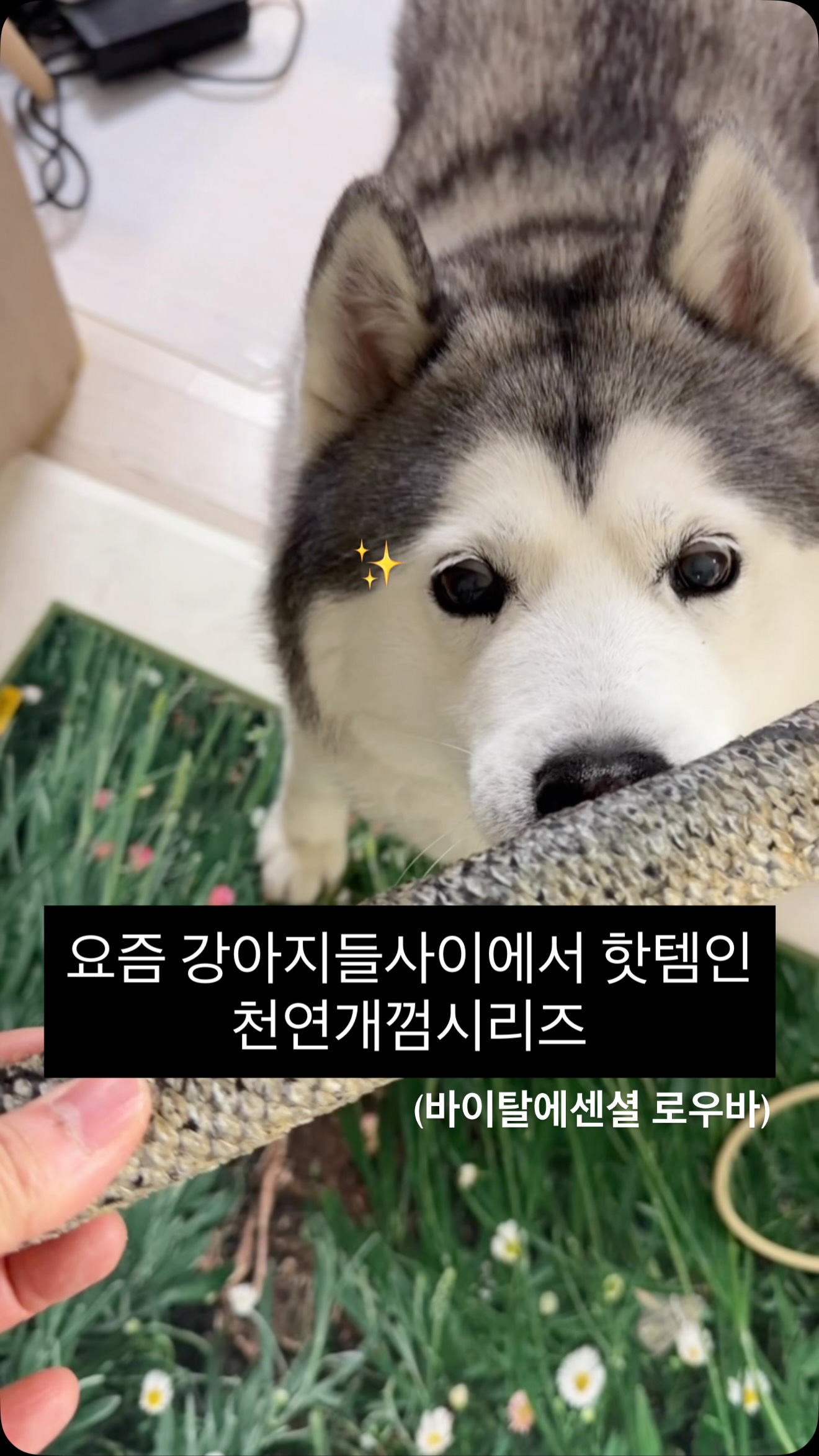 베이킹 데이트 체험
