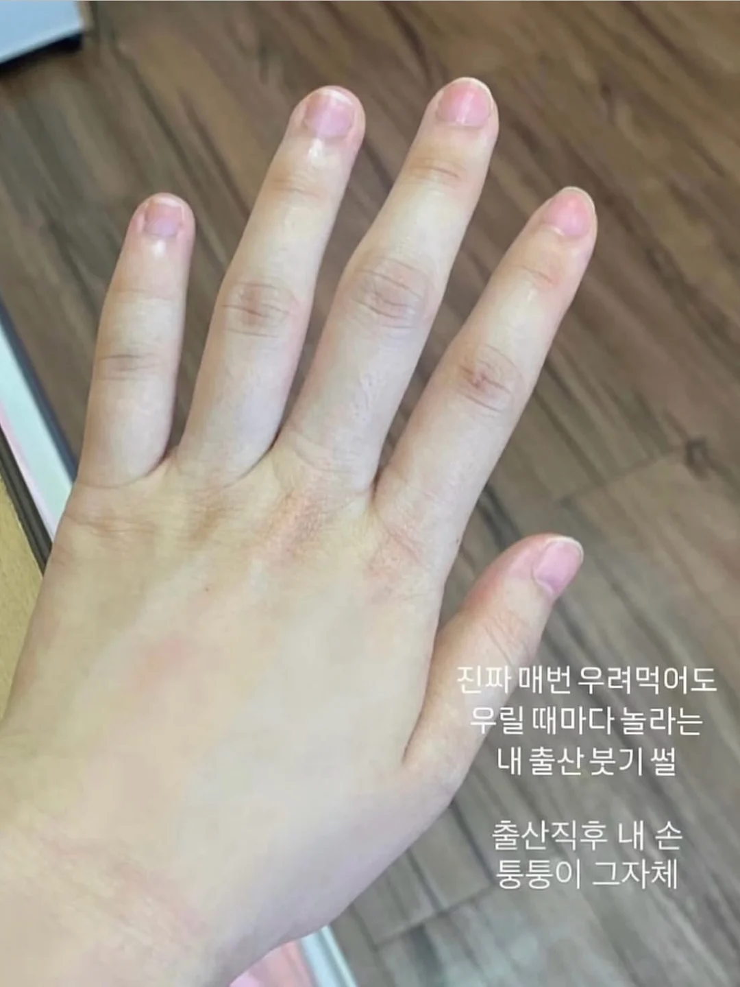 Great 포터블 스크린 12