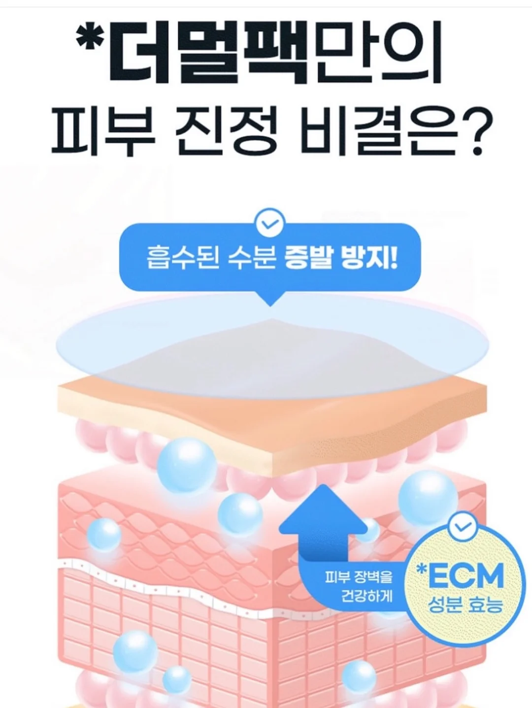 트레이닝 세트 5