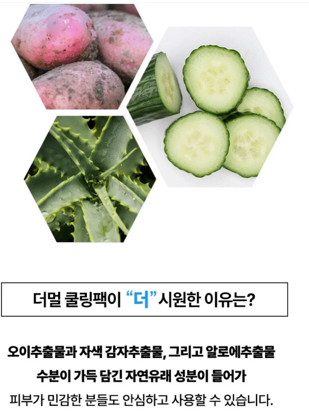 트레이닝 세트 6