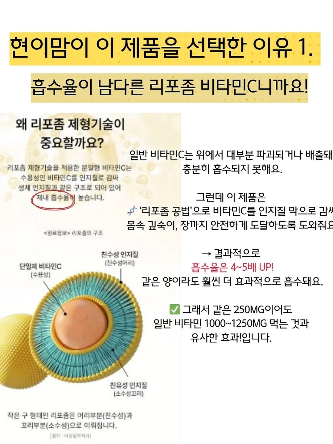 우주먼지 인형 8