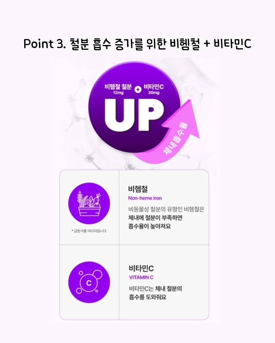 가디건 5