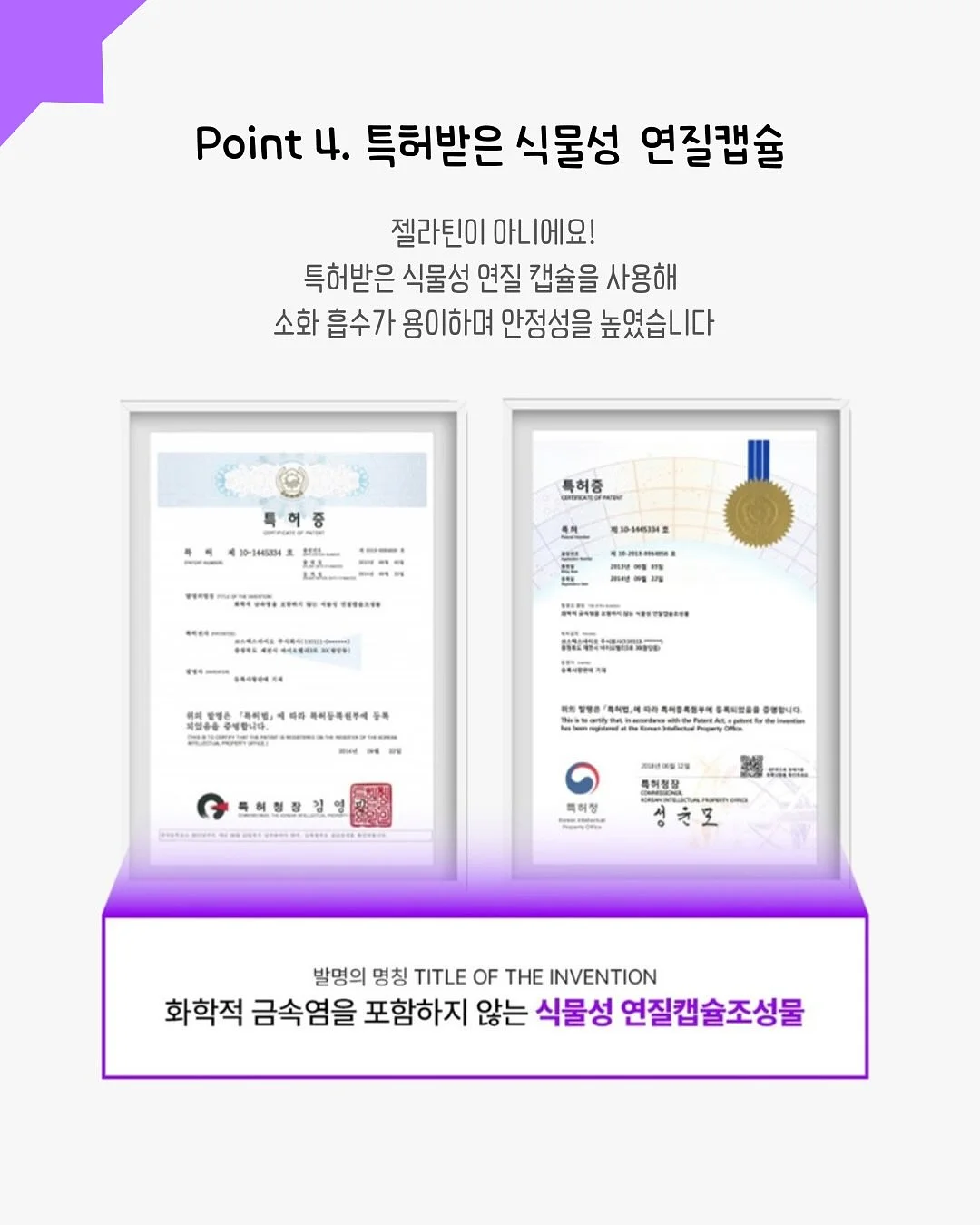 가디건 6