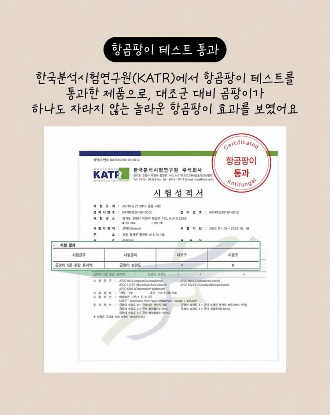 백참키링 5