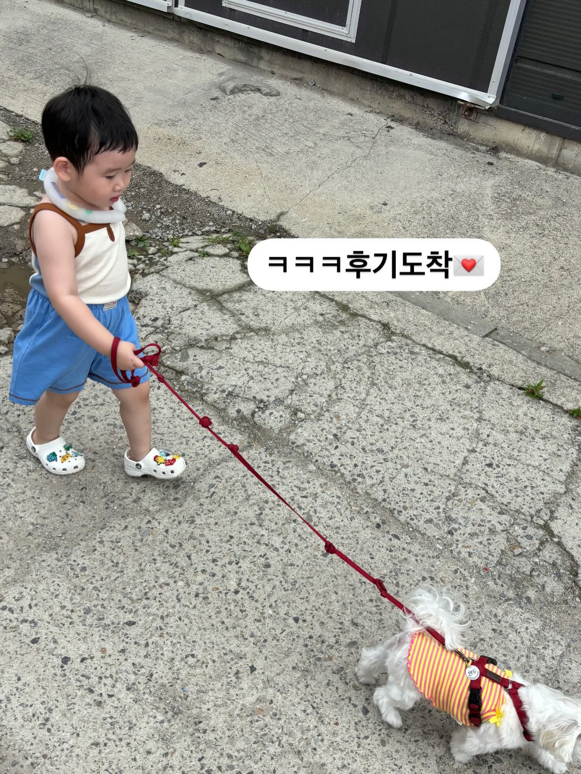 엔틱 레이스 블라우스 3