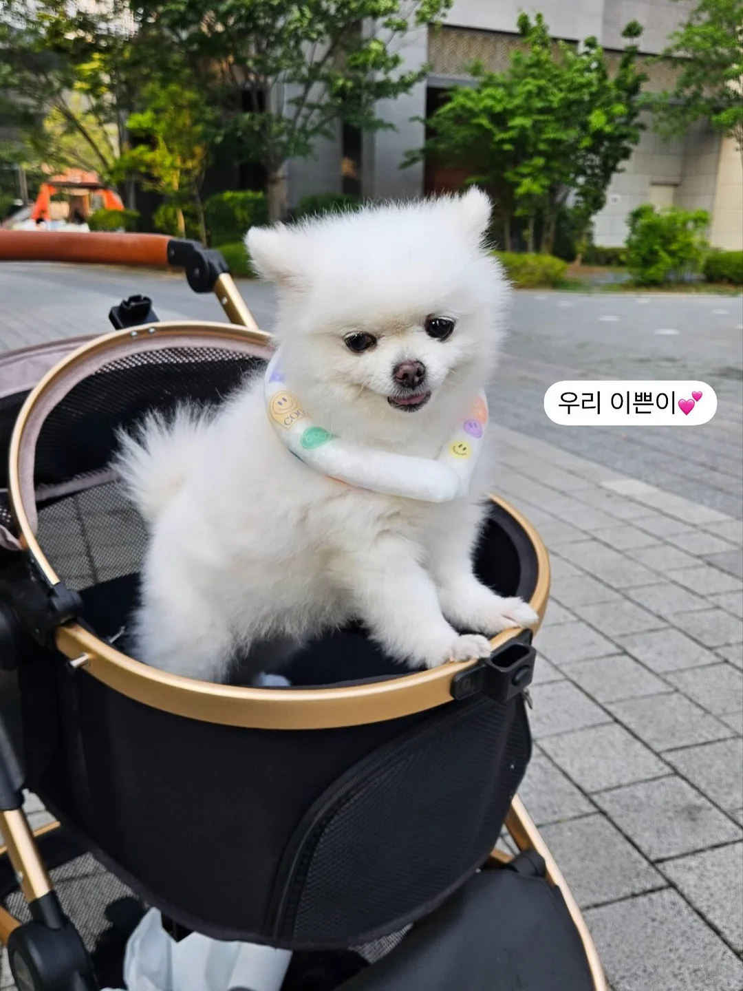 엔틱 레이스 블라우스 7