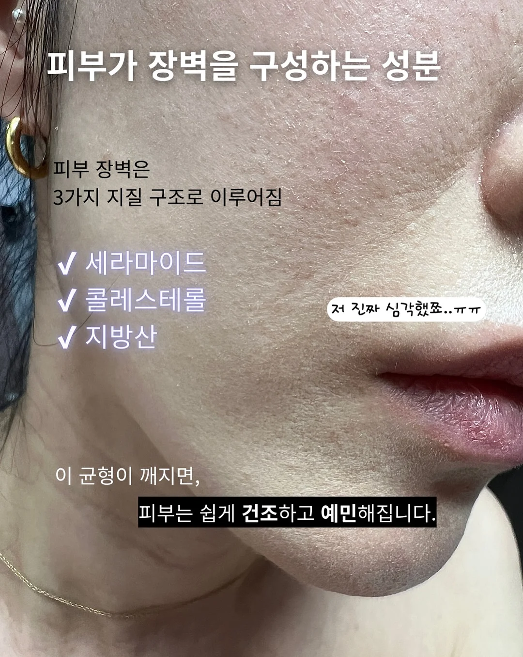 그릇 정리대 6