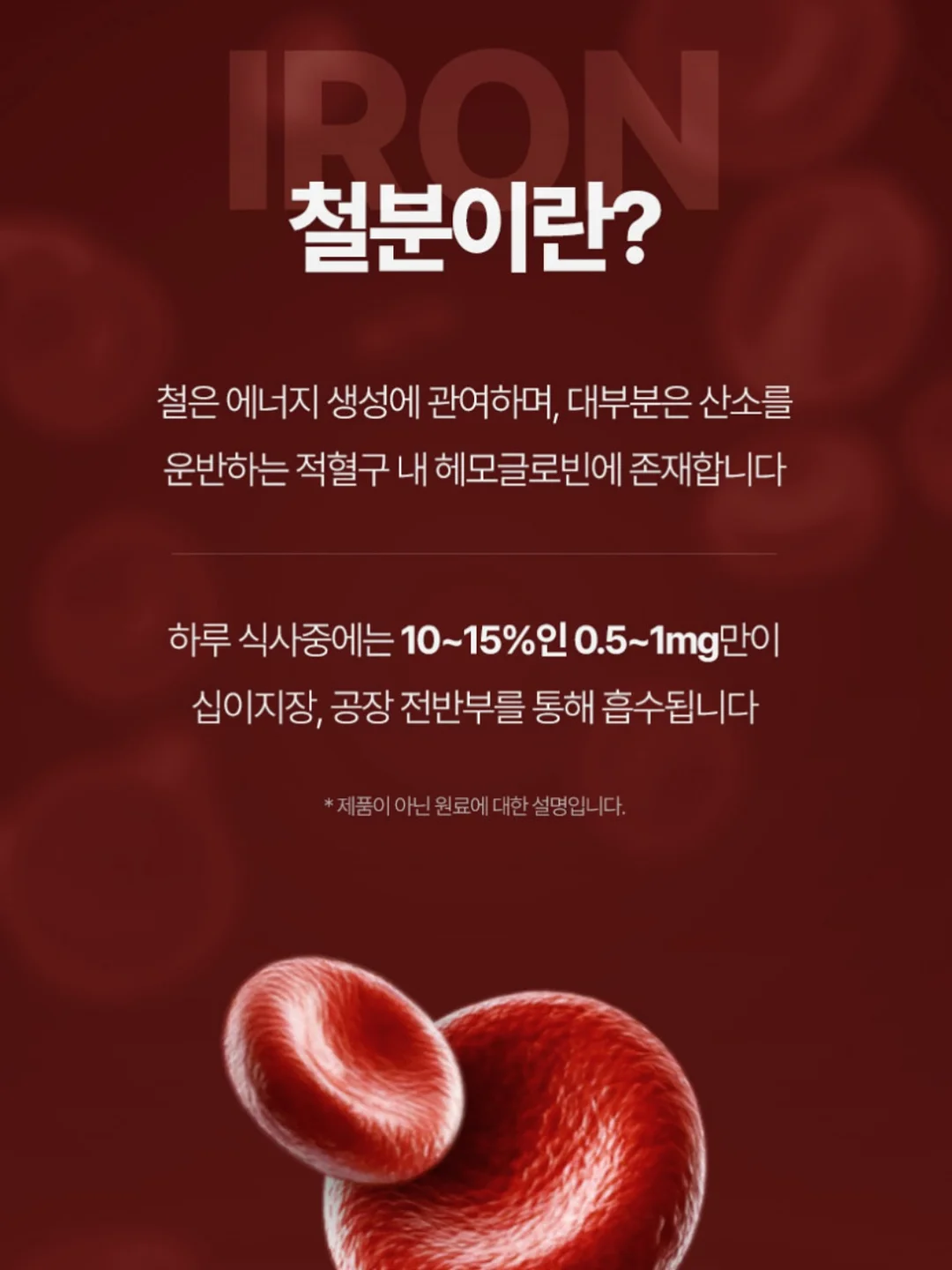 커스텀 맥주 11