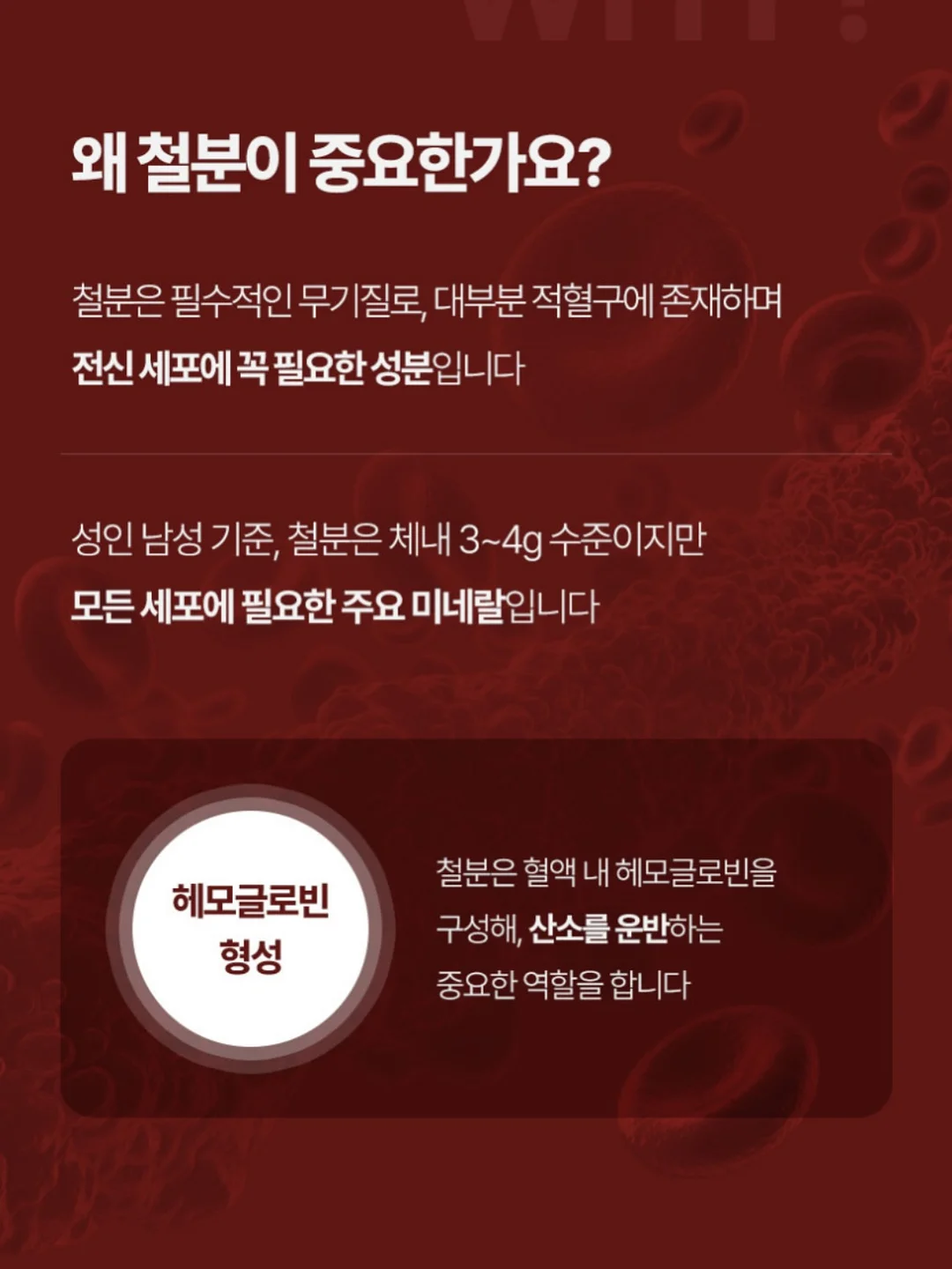 커스텀 맥주 12