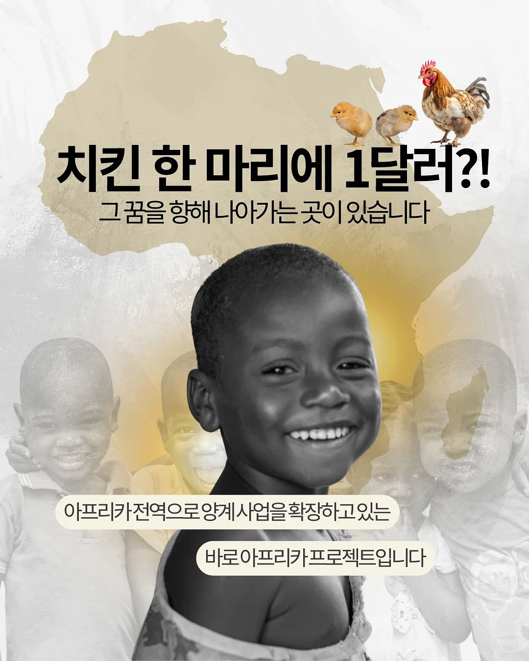 고양이 침대 해먹 1