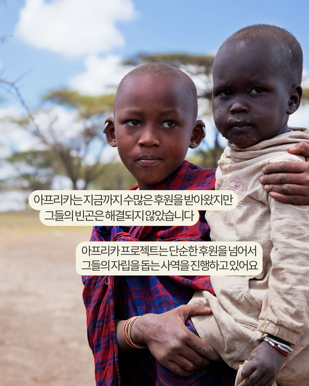 고양이 침대 해먹 2