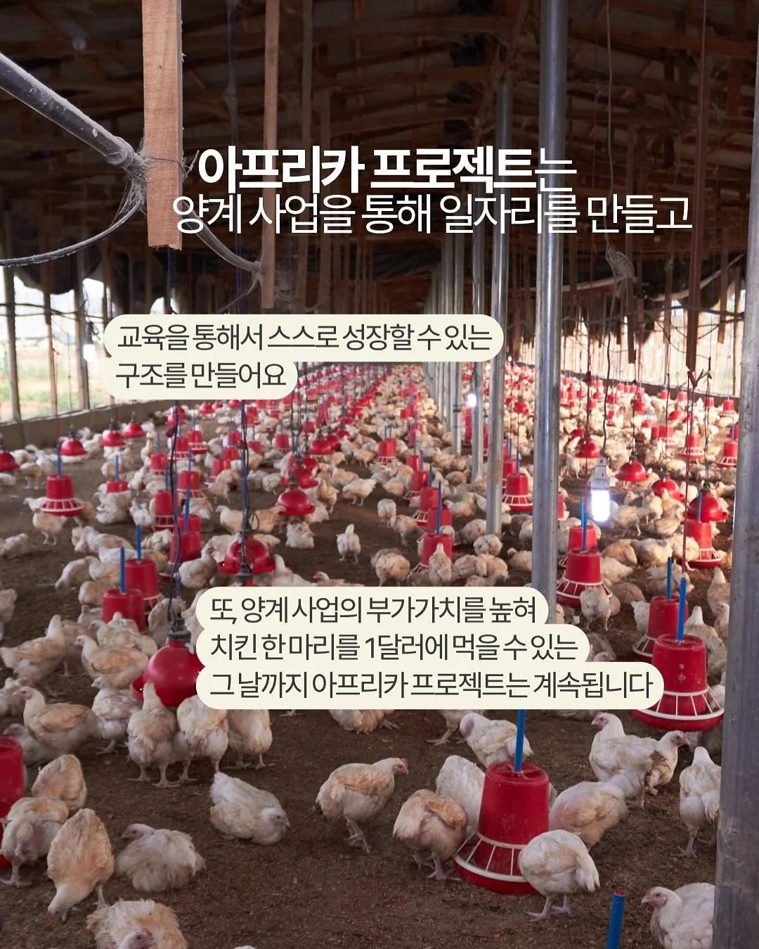 고양이 침대 해먹 3
