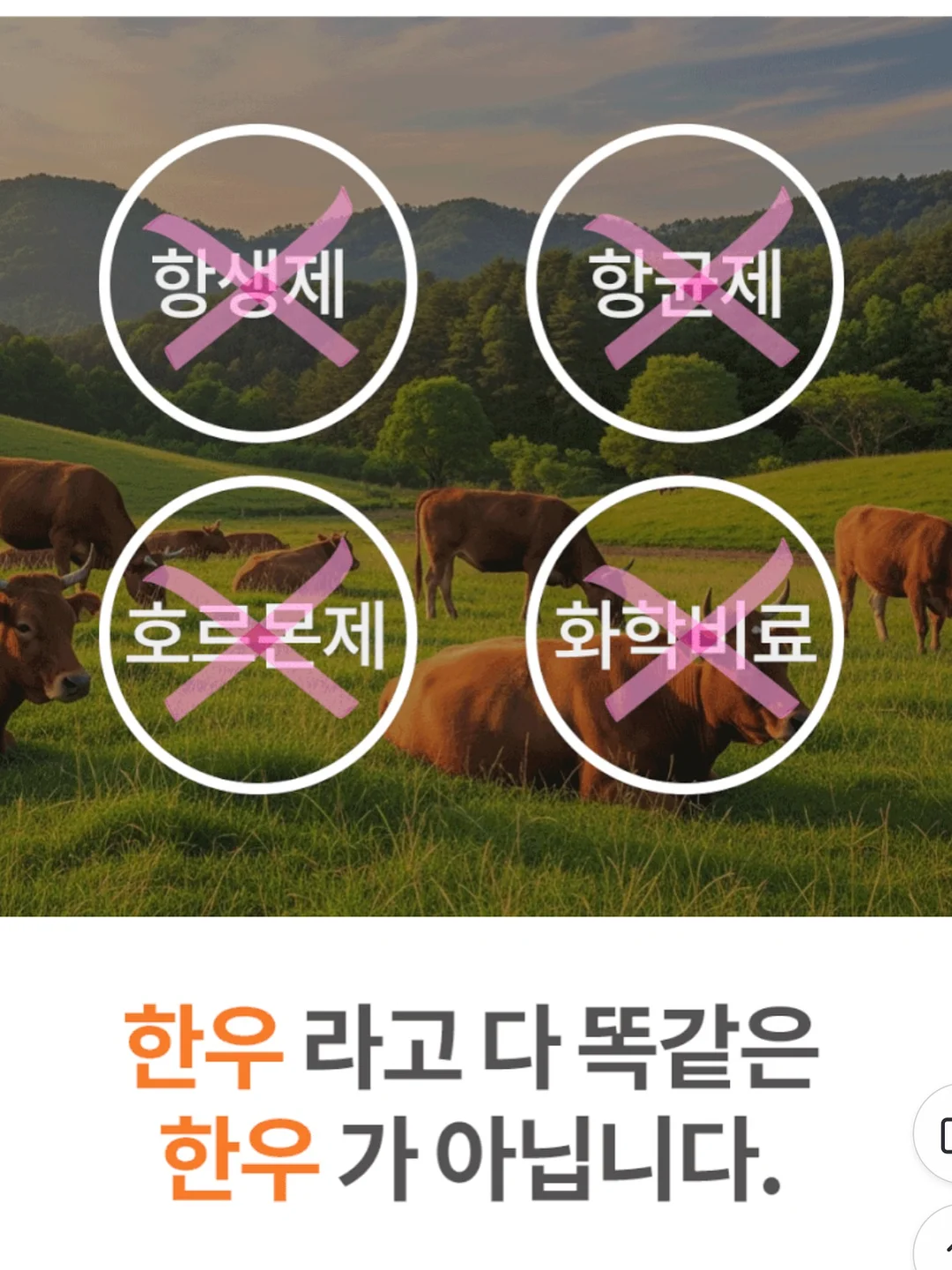 아이돌 포인트래쉬 5