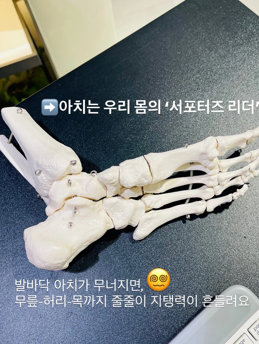 TECTA B1 의자 2