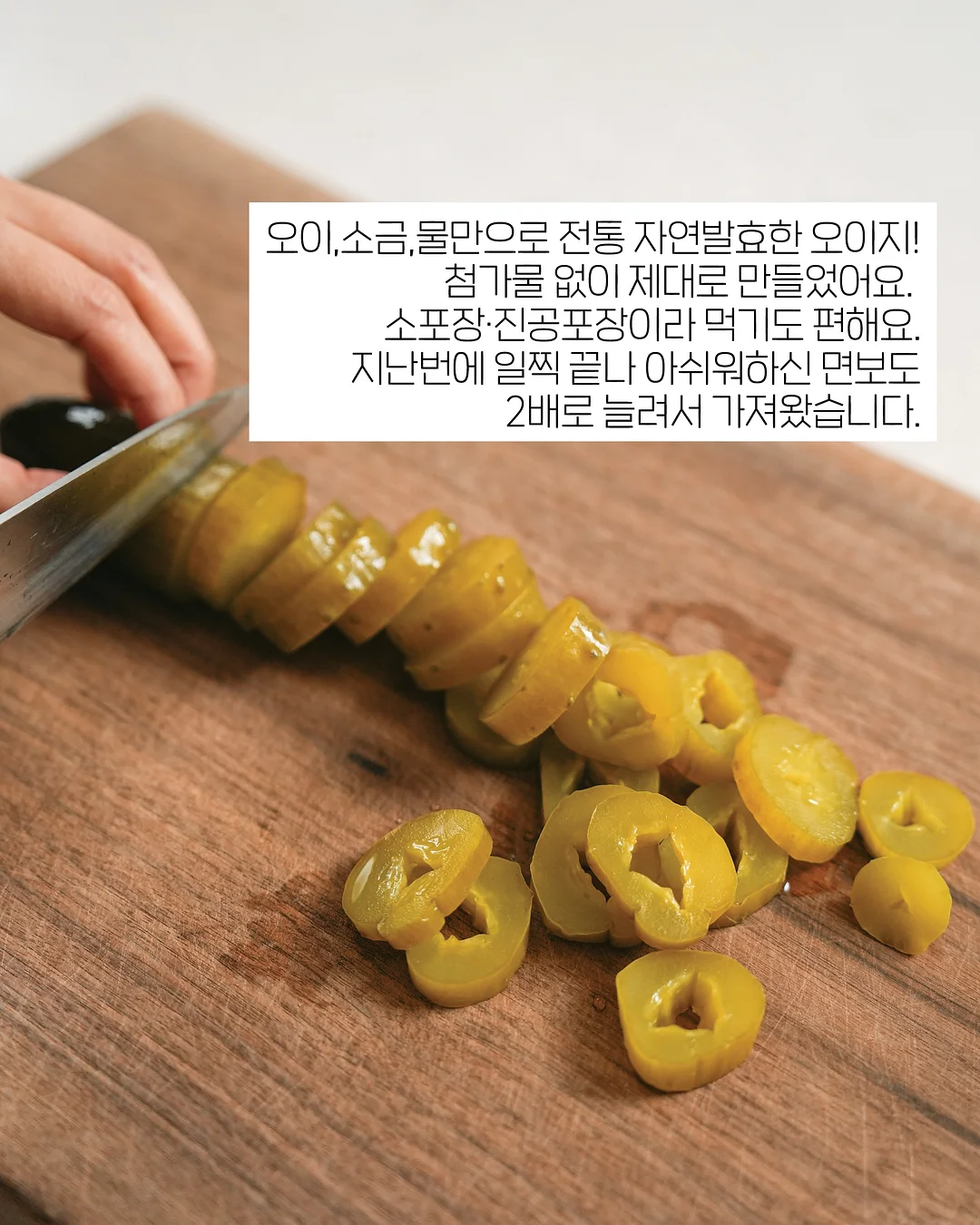 강아지 계단 4