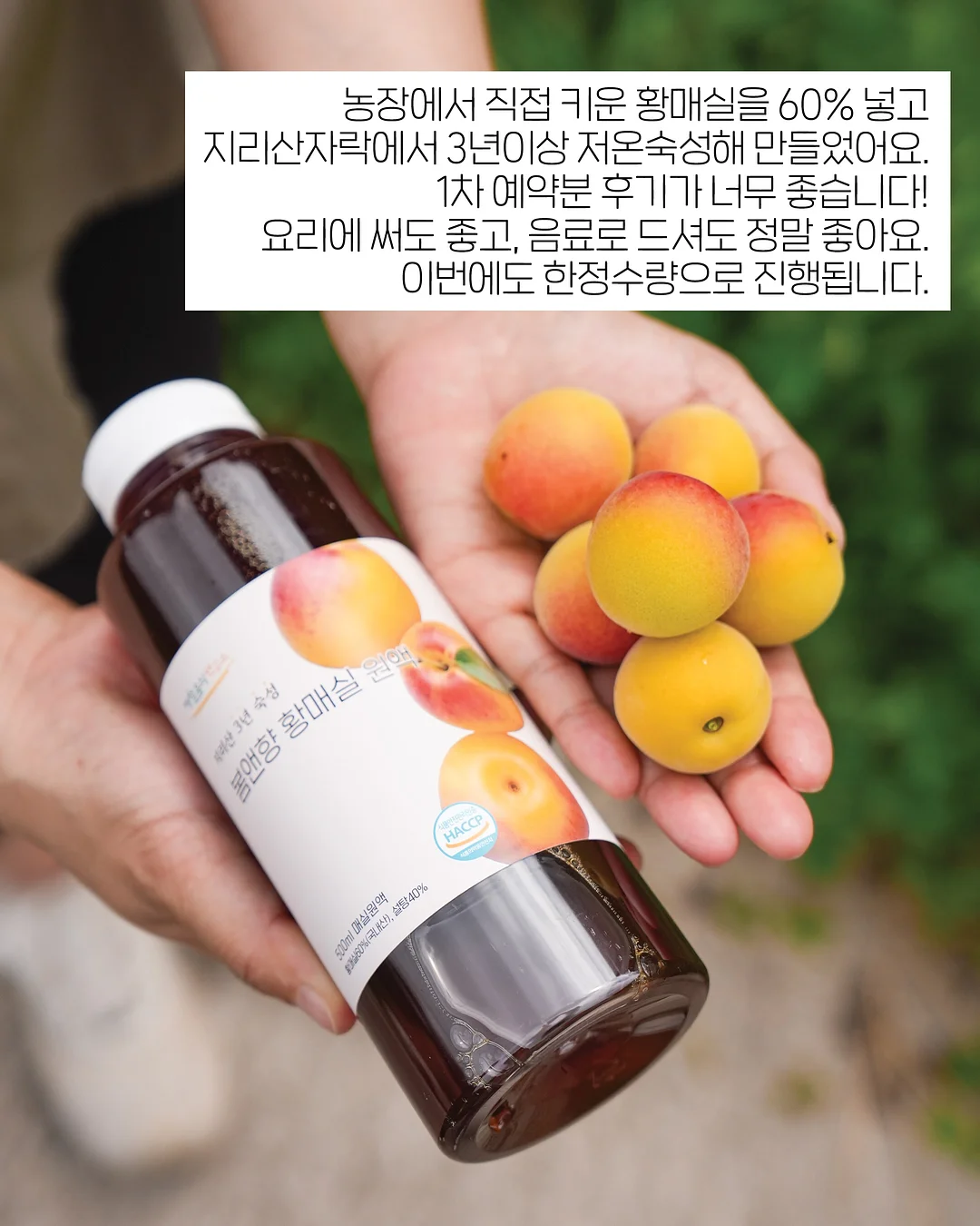 강아지 계단 6