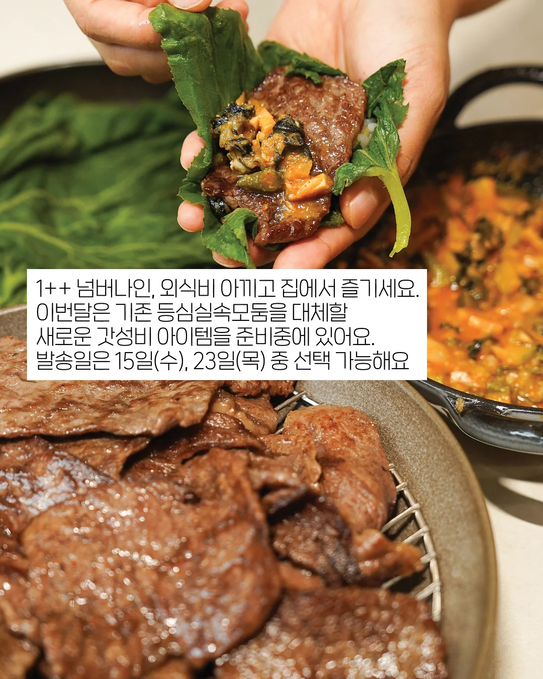 강아지 계단 7