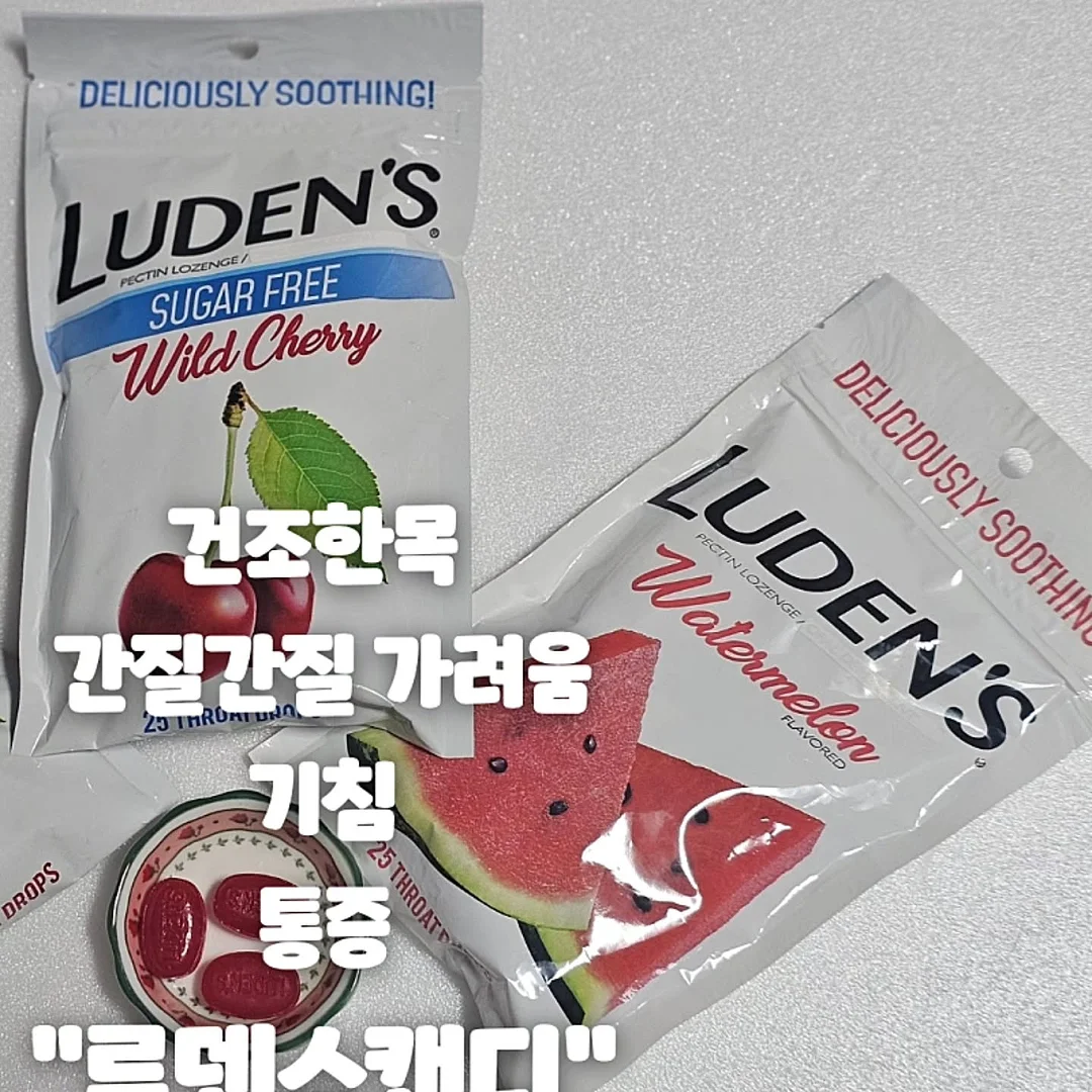 백일상차림 13