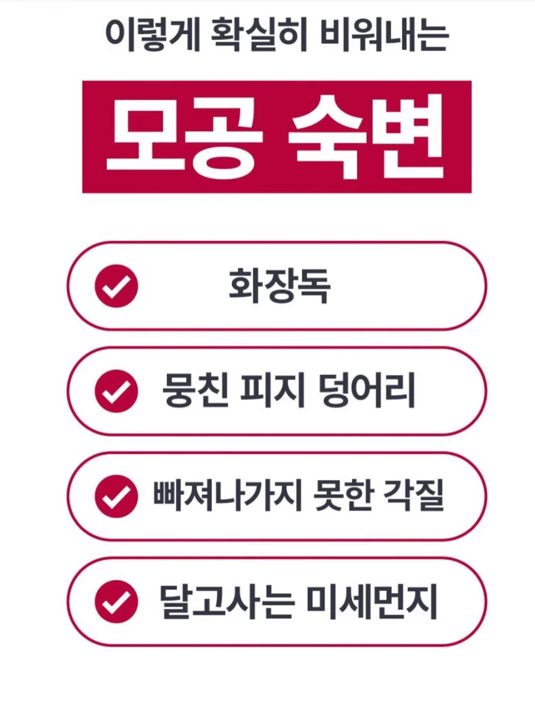 계절 참견ㅣ청개구리 여름호 6