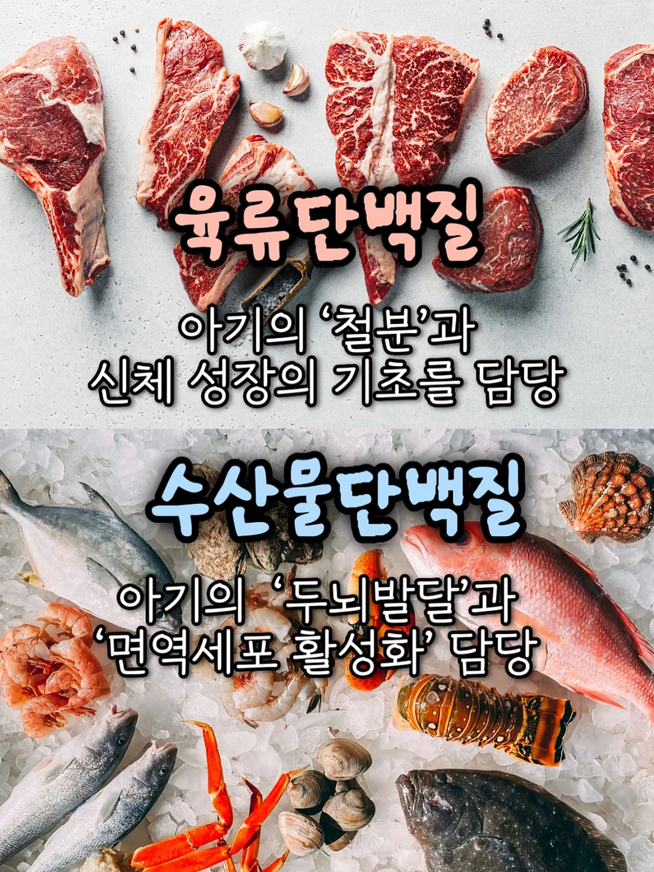 이동식 닭장 2