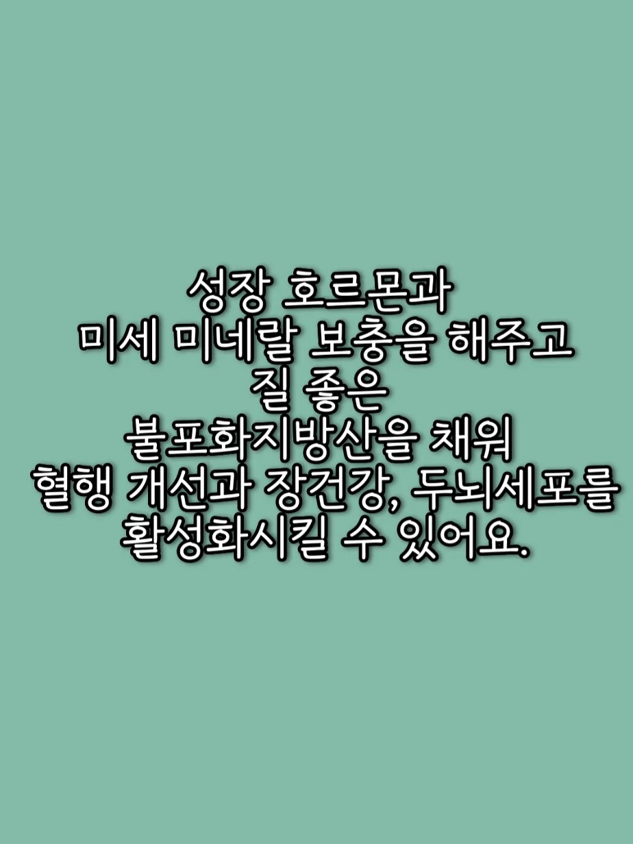 이동식 닭장 7
