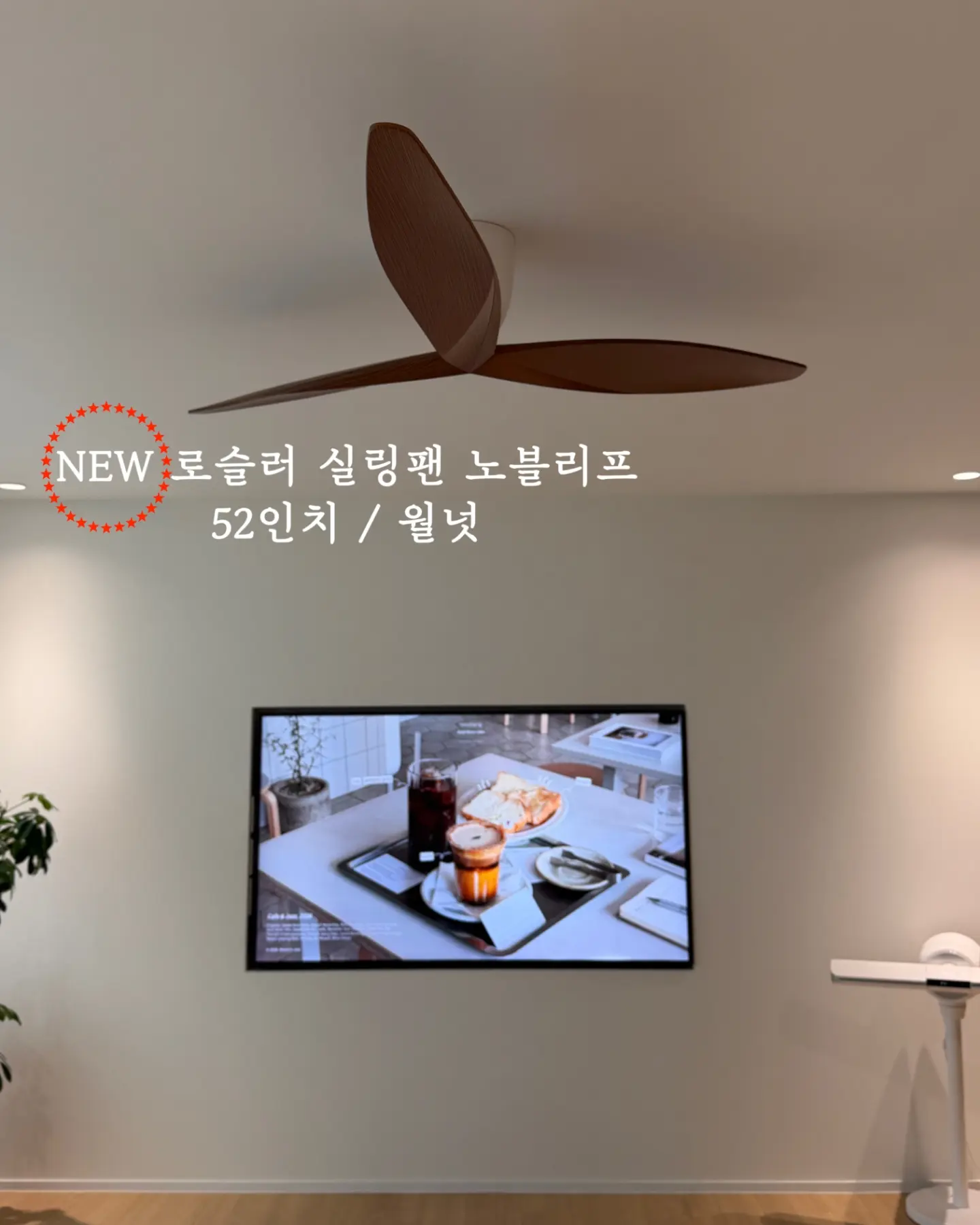 김해 스페셜 감귤 5