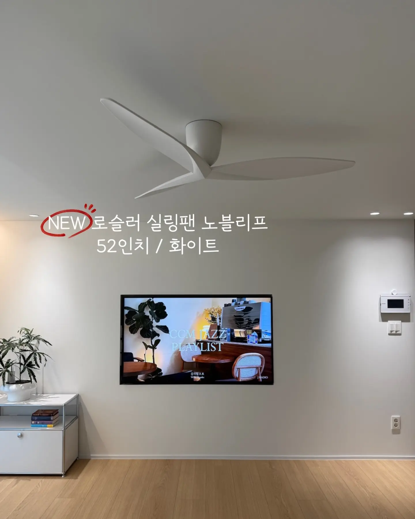김해 스페셜 감귤 6