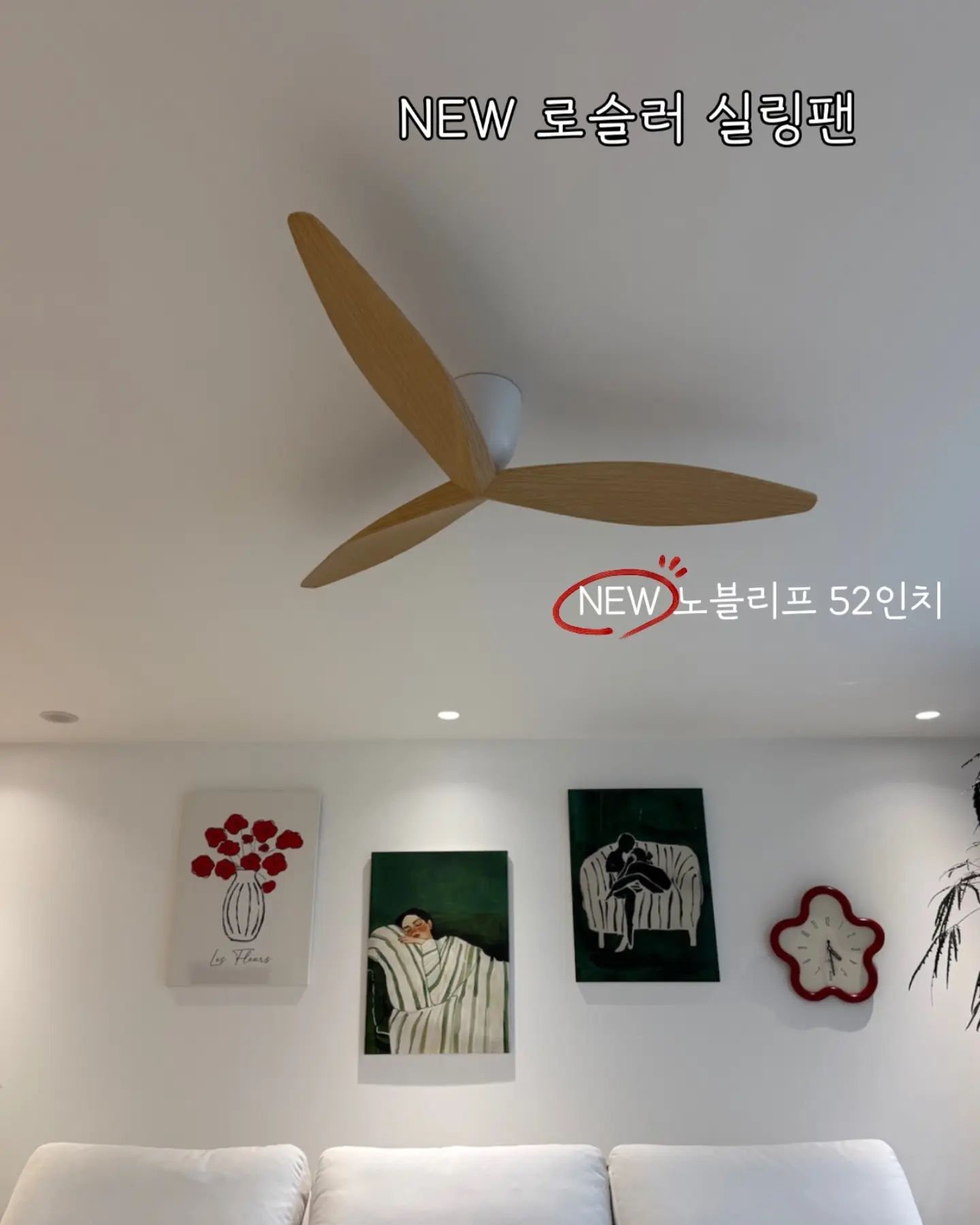 김해 스페셜 감귤 7