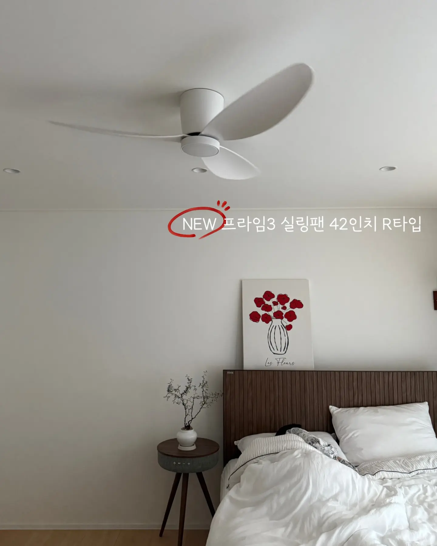 김해 스페셜 감귤 8