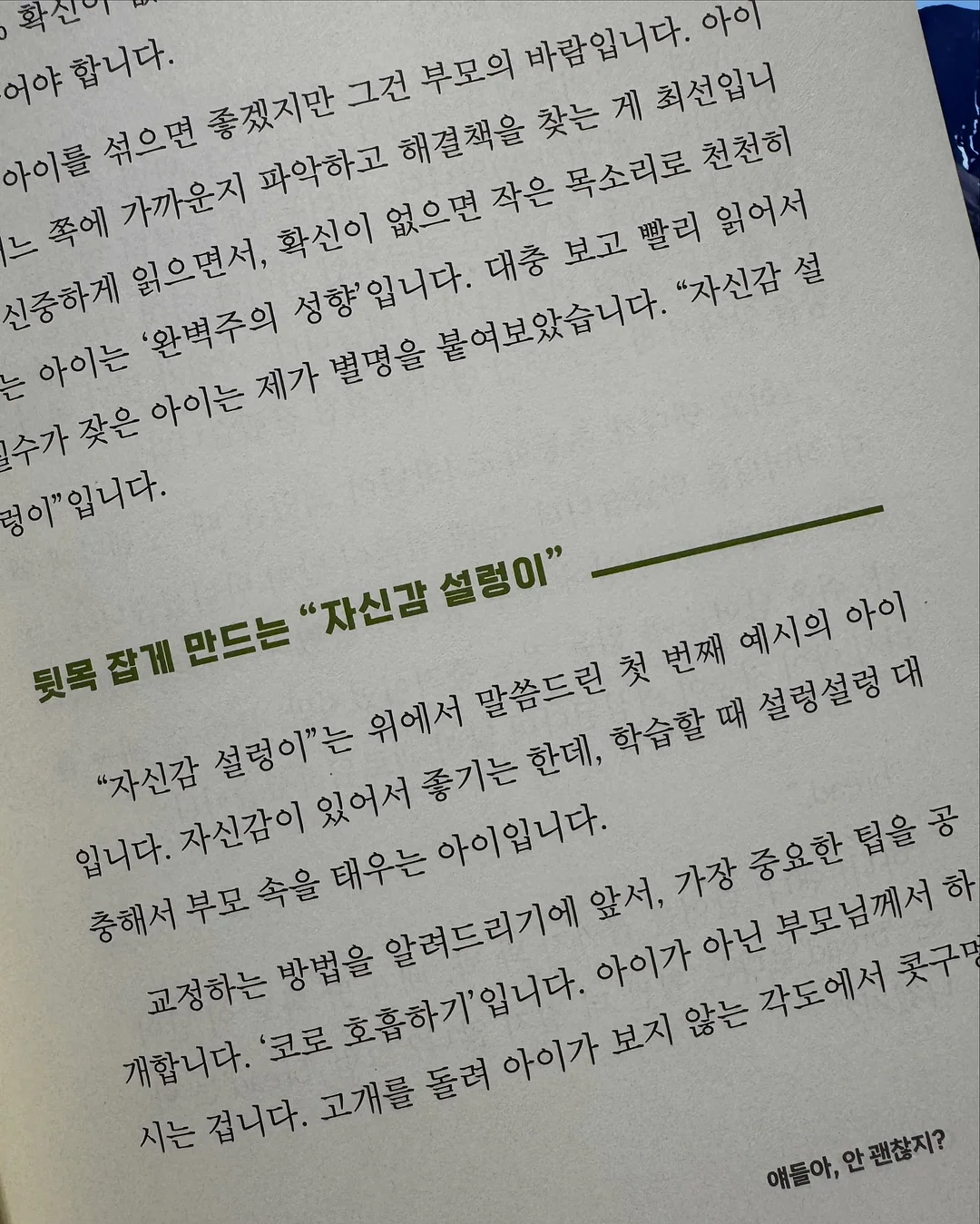 루피실 11