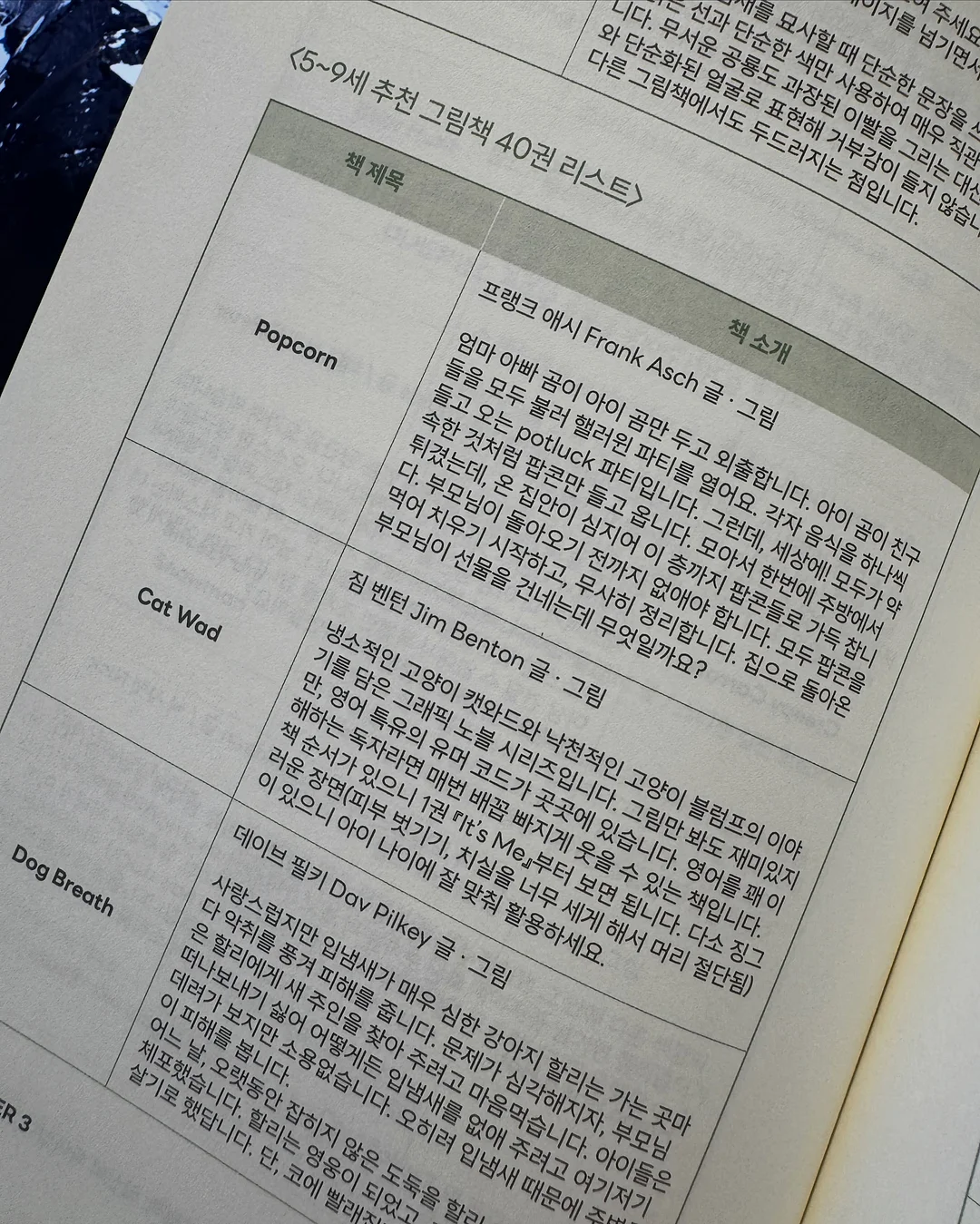 루피실 17