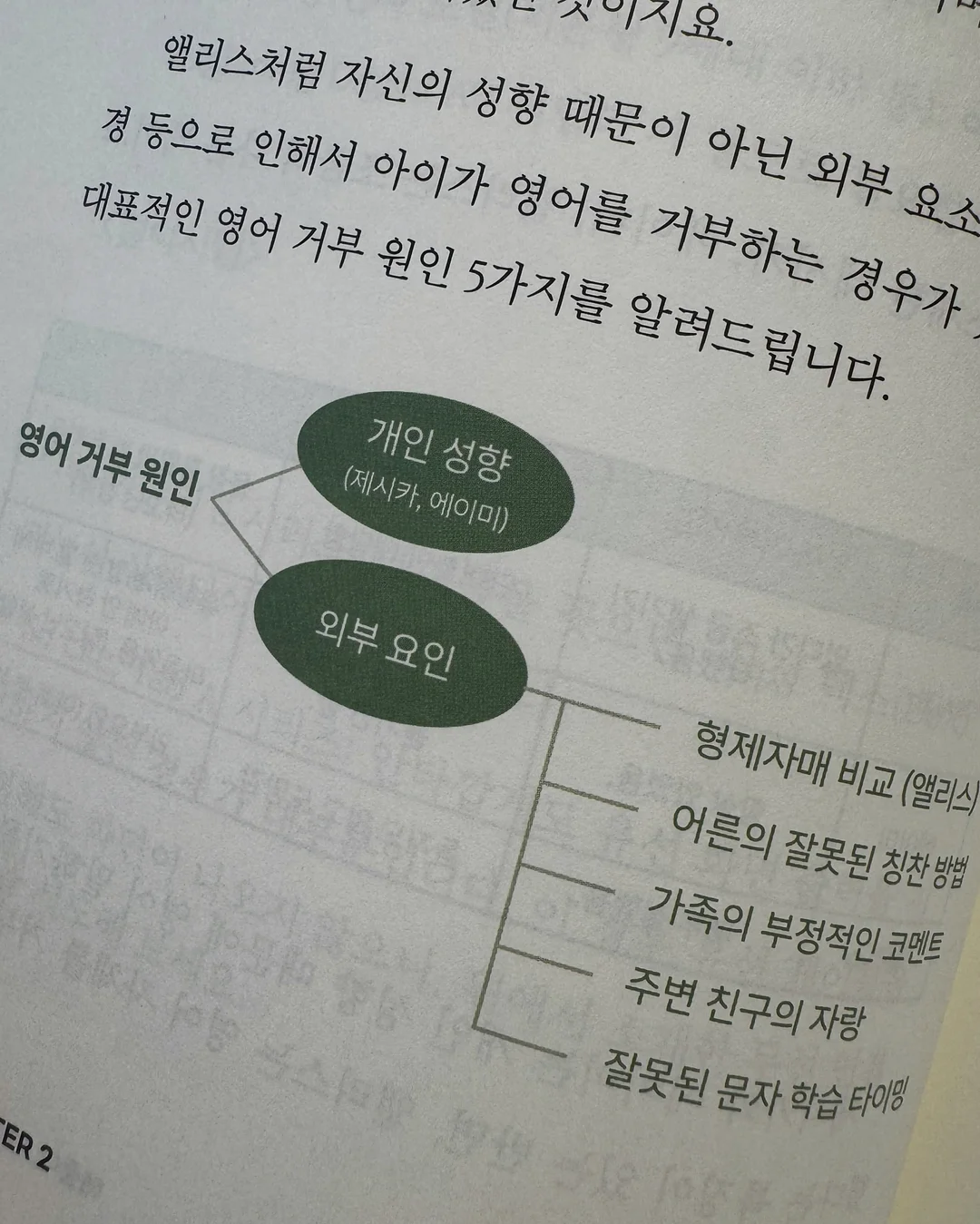 루피실 8