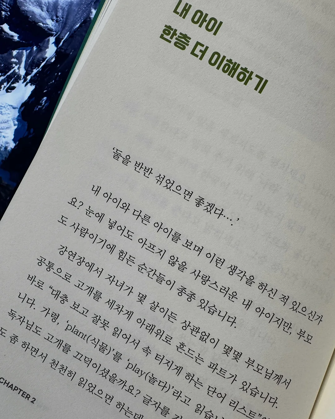 루피실 10
