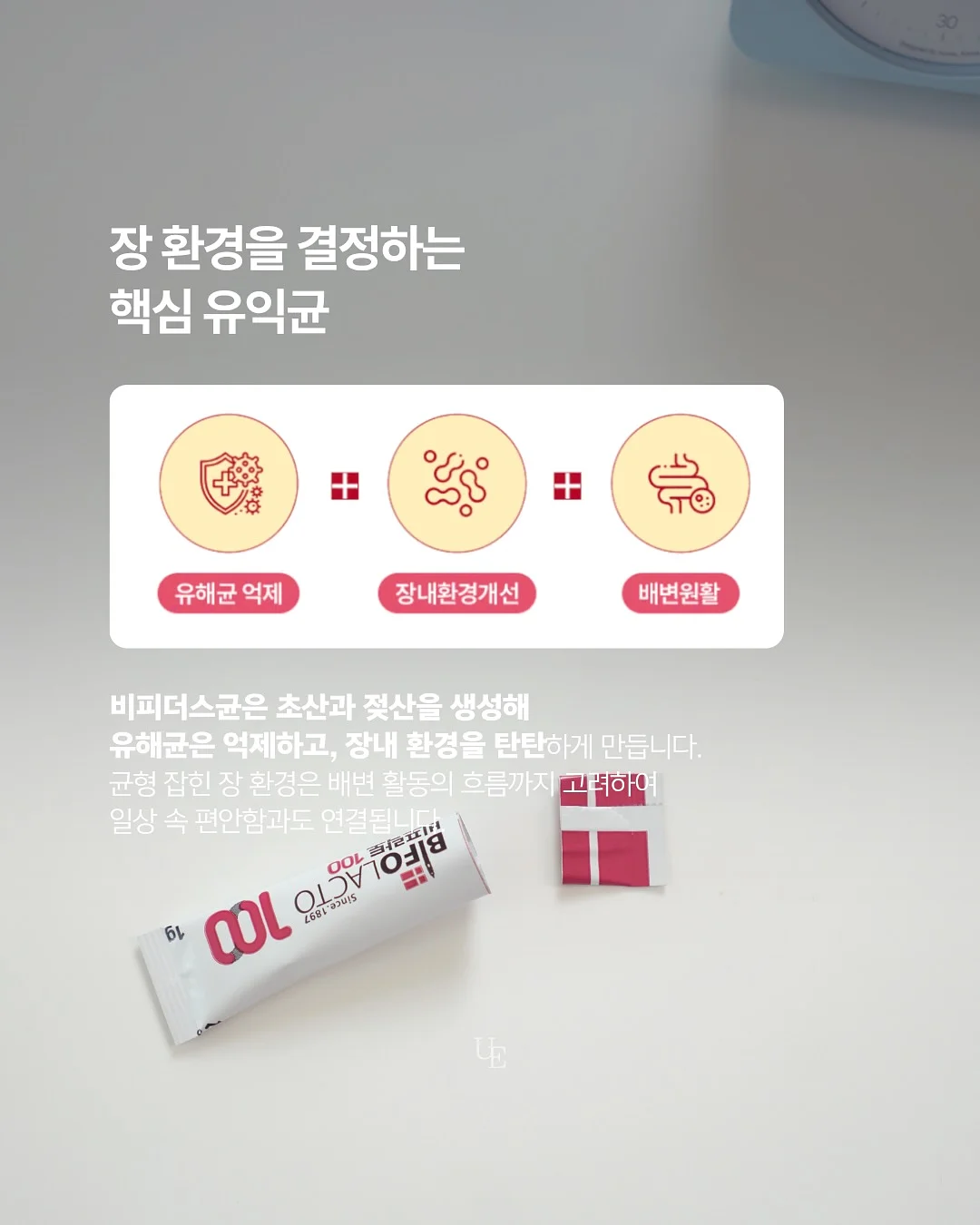 틴토레토 730번 붓 5
