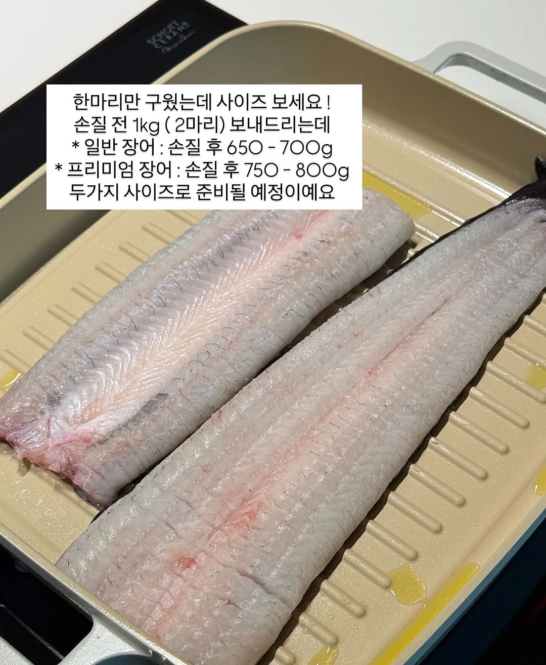 생장제 6