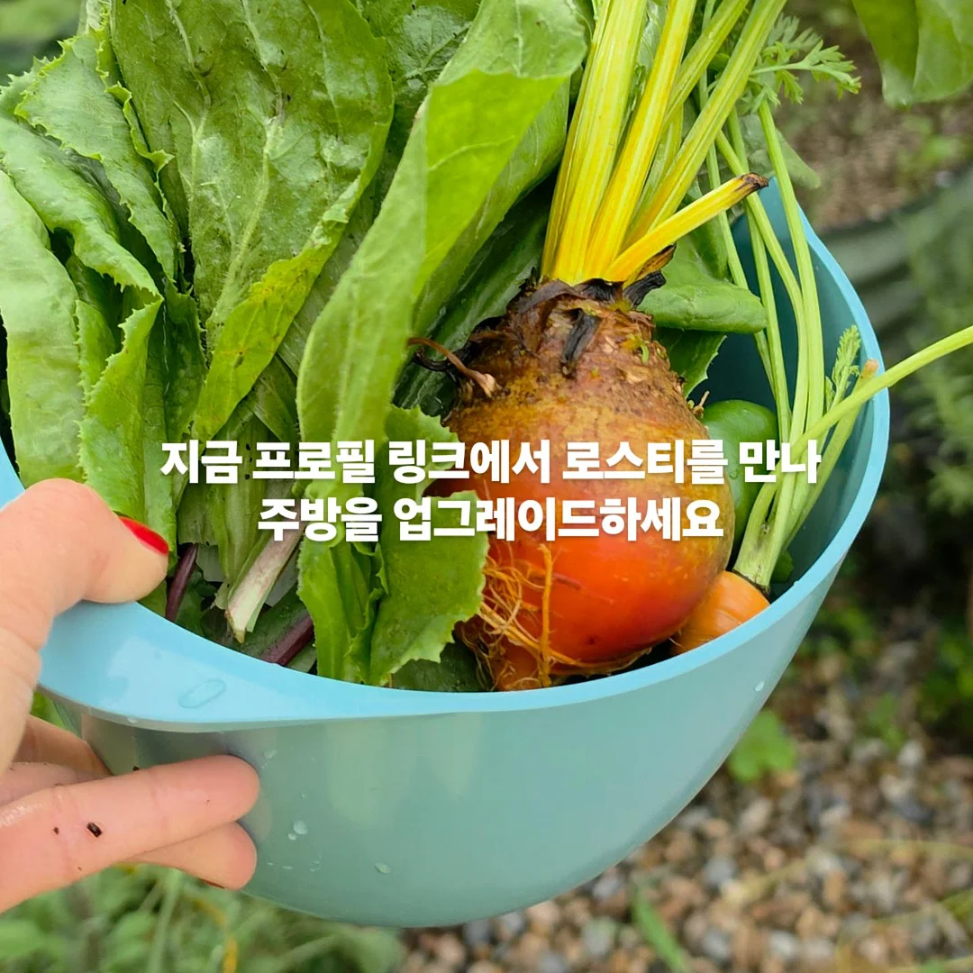 VT-10 소형 스토리지 12