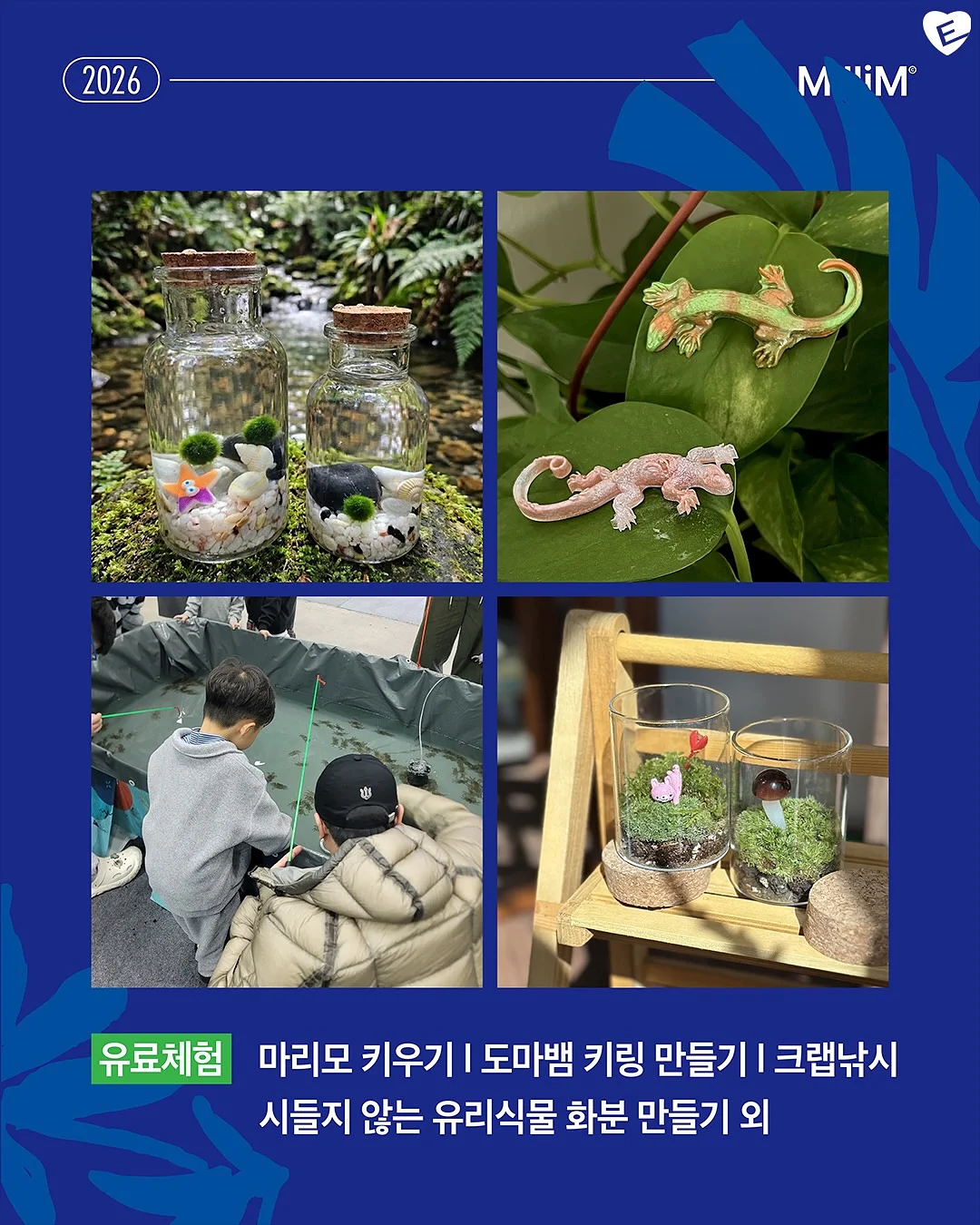 여름 랜덤박스 6