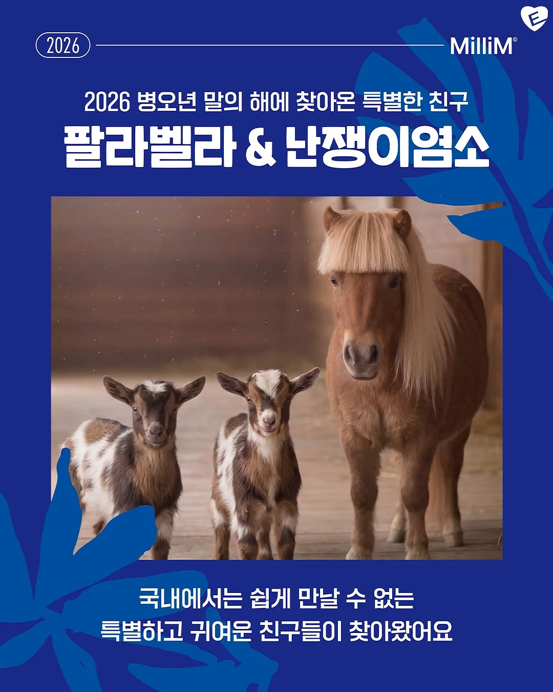 여름 랜덤박스 7