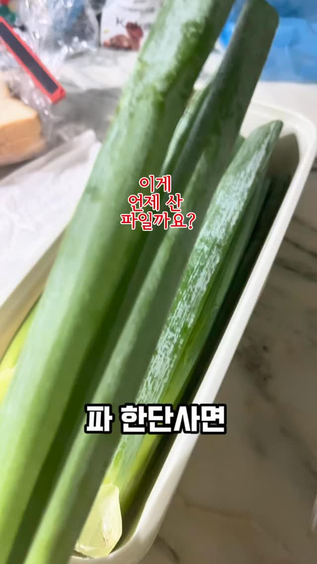 루틴엑스 비염 스프레이