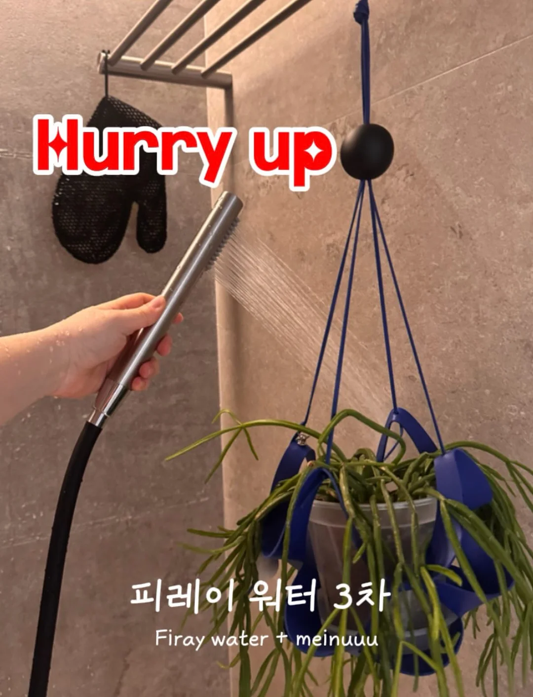 토끼옷 1