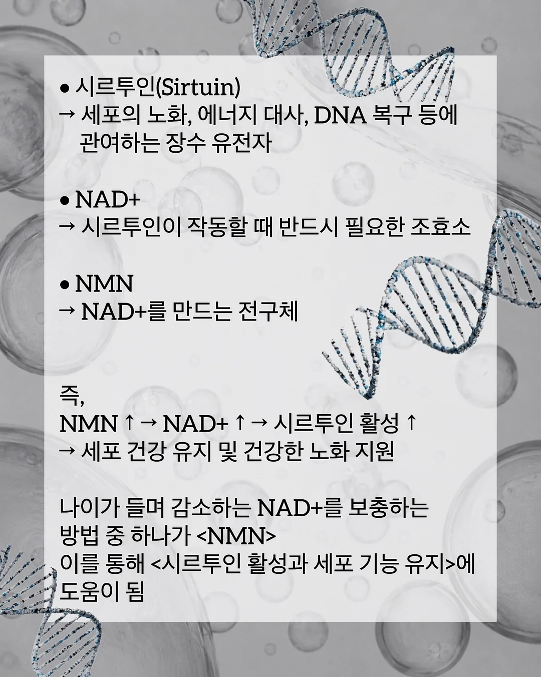 게임 테이블 5