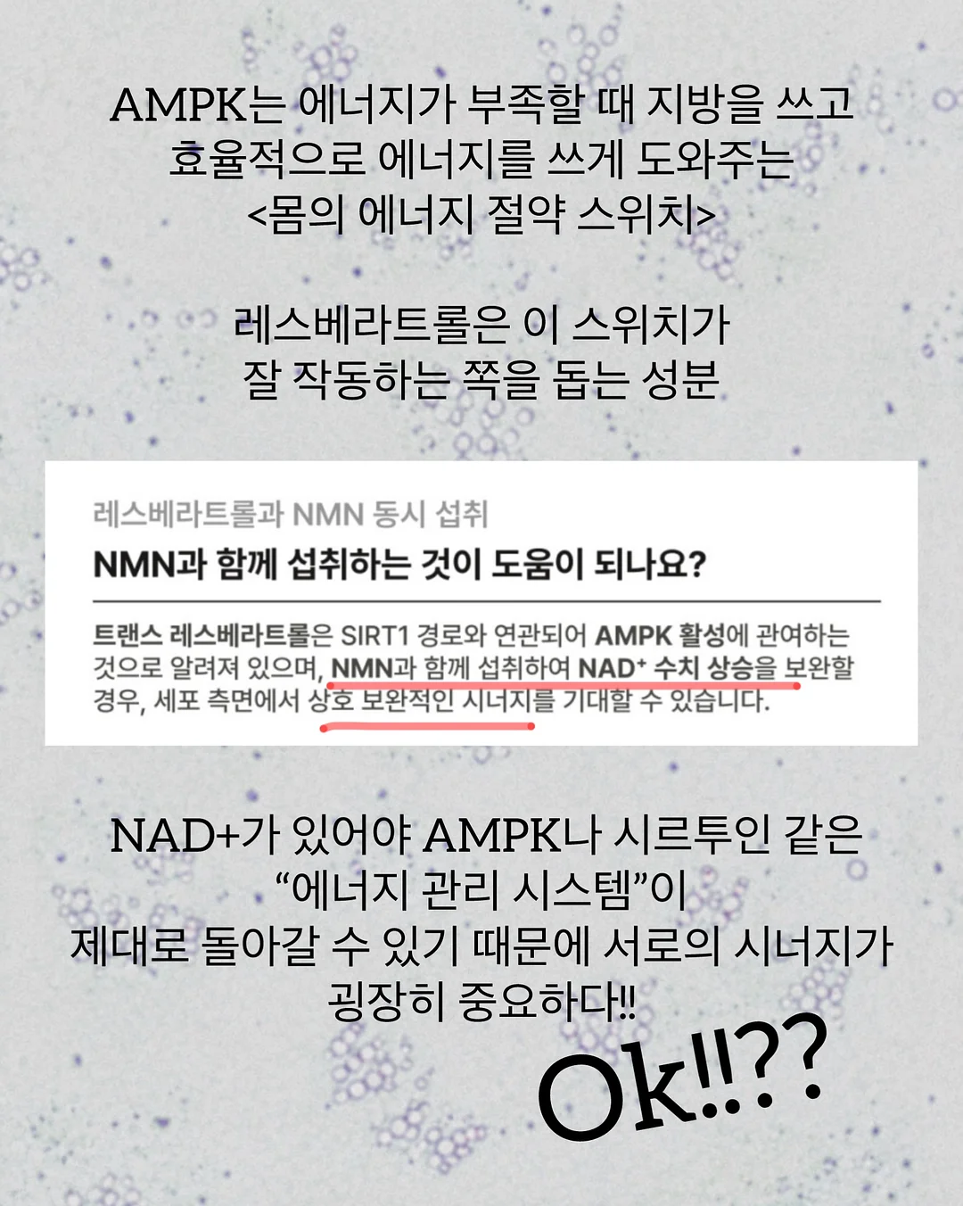 게임 테이블 10