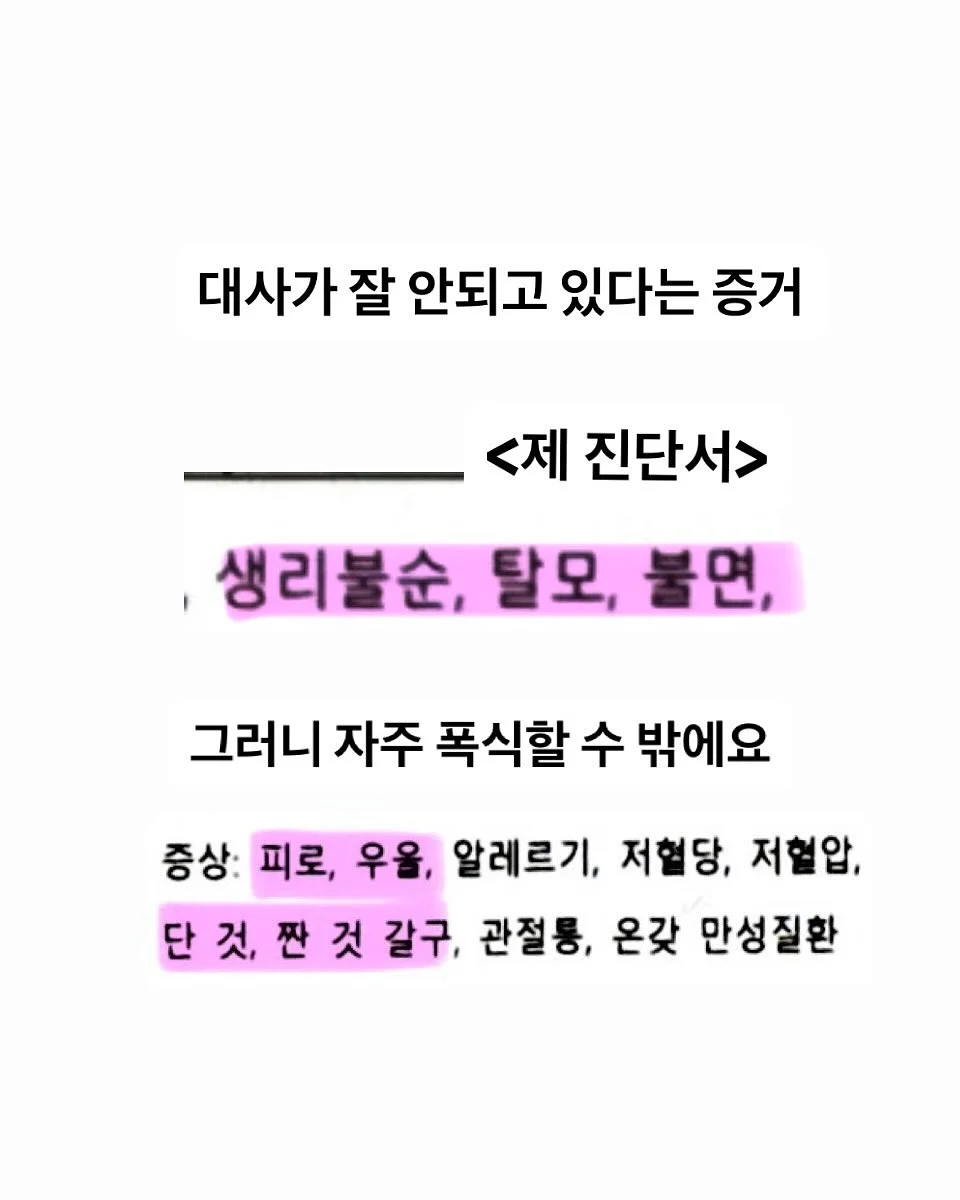 연필심 쫀드기 4