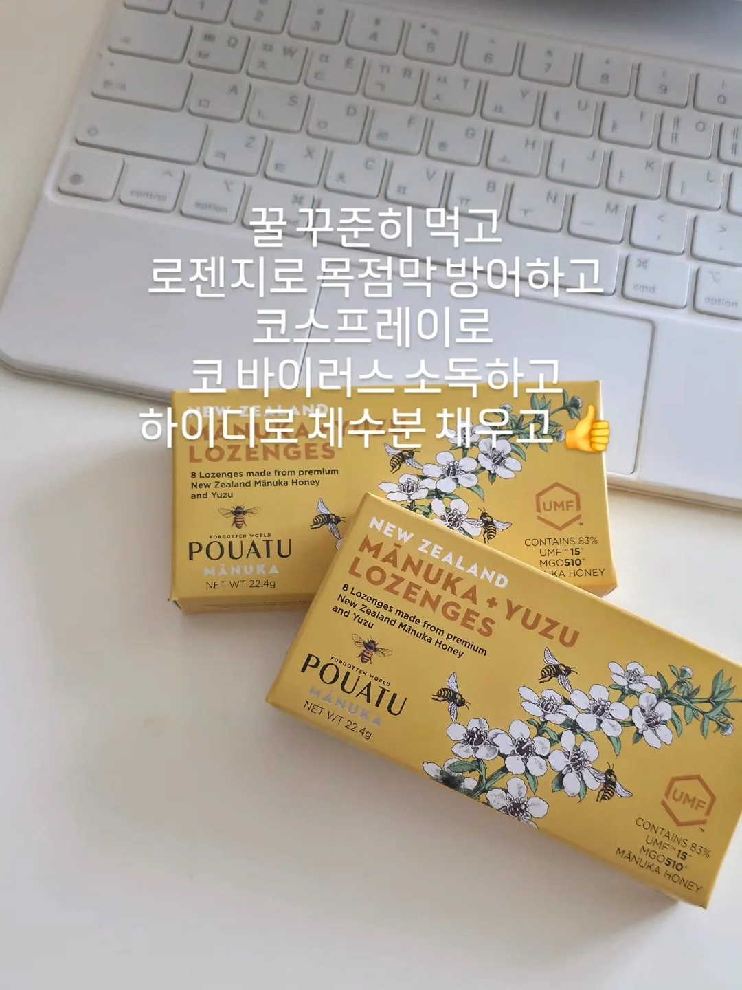나를 사랑하는 마음, 제인 오스틴 영어 필사 2